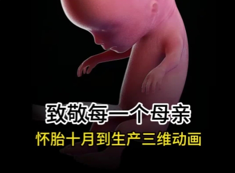 女子本弱，为母则刚，致敬伟大的母亲们！华匠科技-孕期三维动画定制