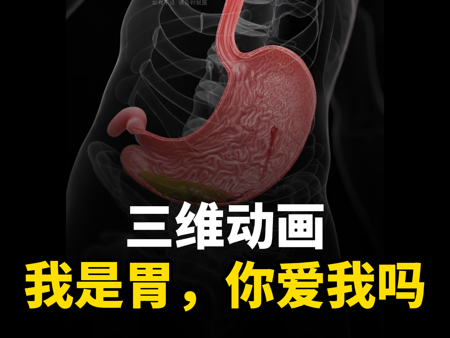 “您好，主人！”来自胃的告白！-人体三维动画定制-华匠科技三维动画