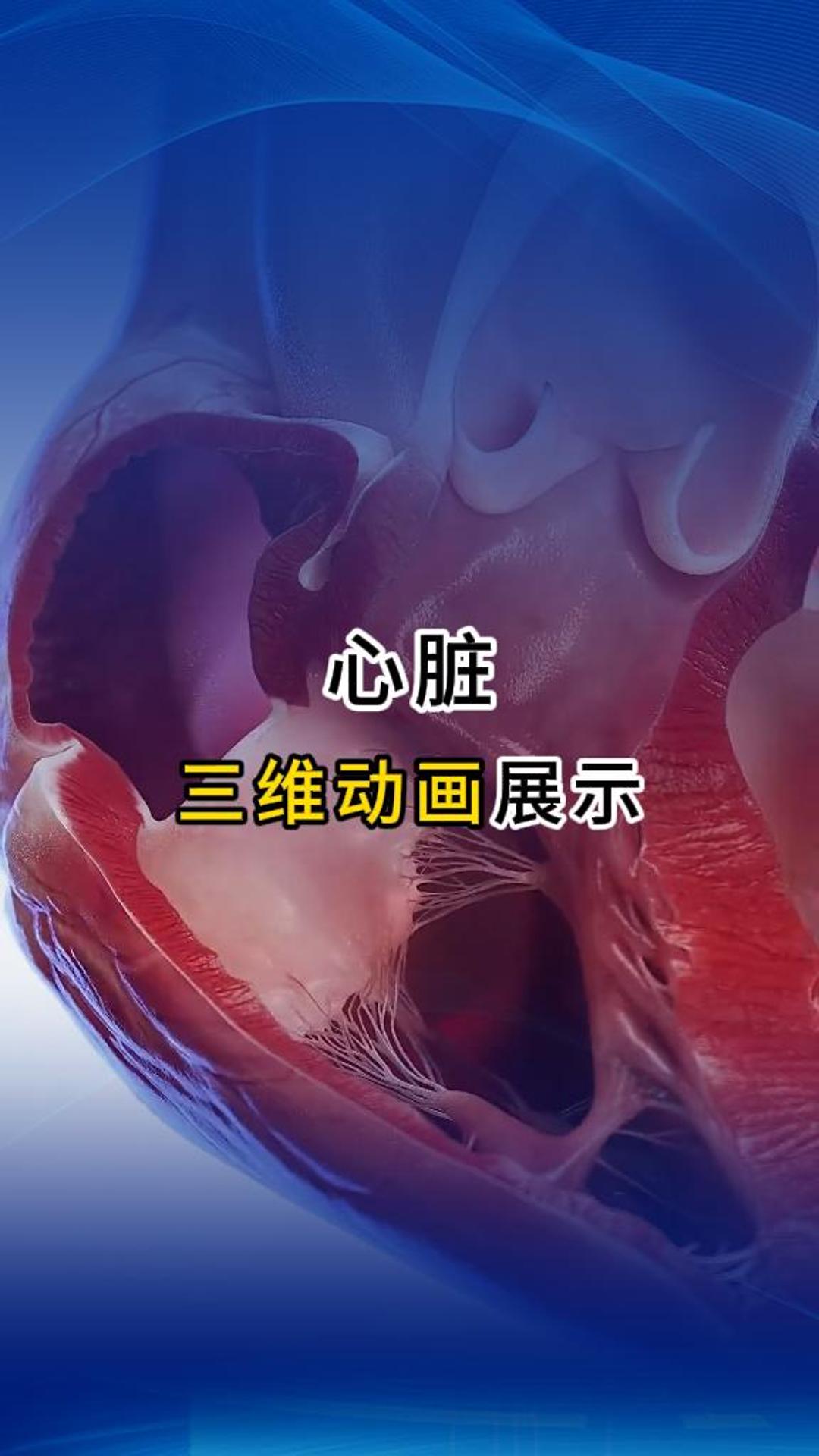 来自心脏的告白！医疗三维动画-三维动画制作公司-华匠科技